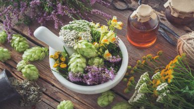 آشنایی با فواید و مضرات گیاهان دارویی برای انسان