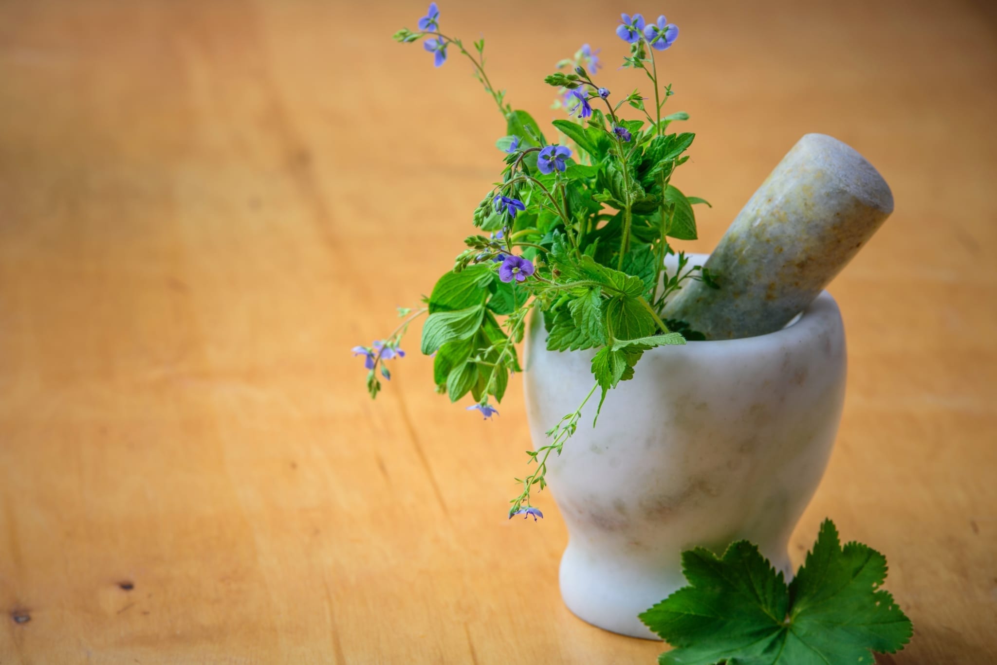 آشنایی با فواید و مضرات گیاهان دارویی برای انسان