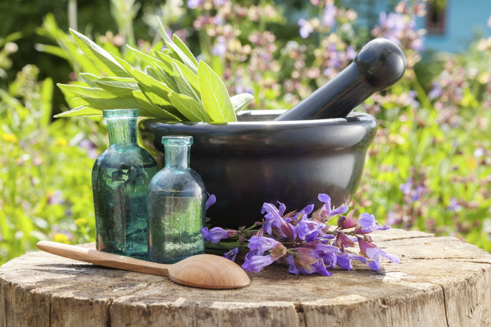 آشنایی با فواید و مضرات گیاهان دارویی برای انسان