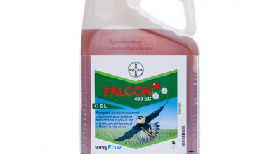 آشنایی با کاربردها و قیمت خرید قارچ کش فالکن