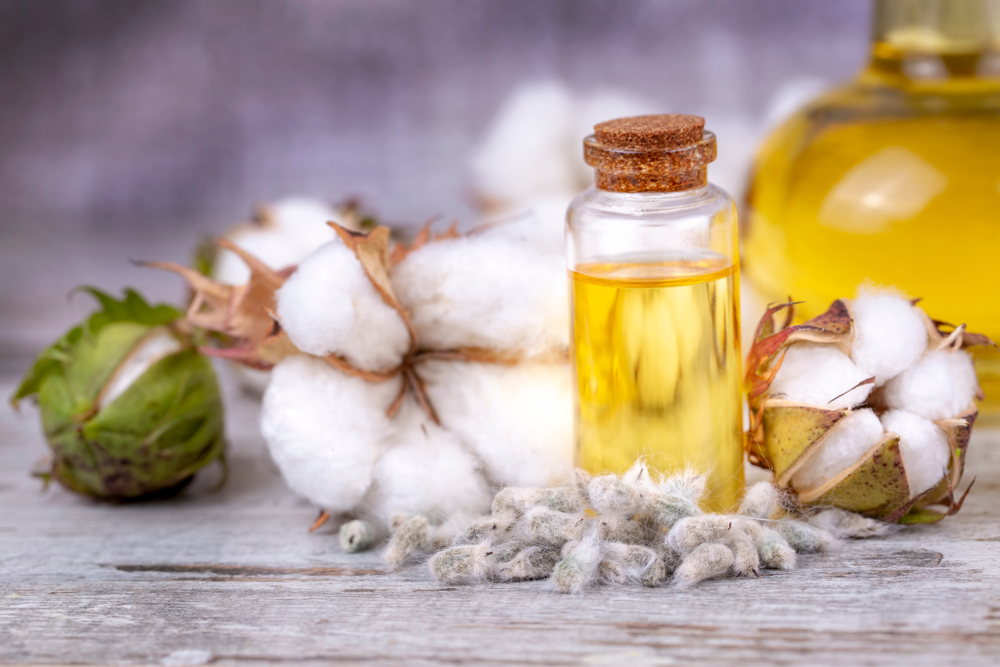 از فواید مصرف روغن کتان برای سلامتی چه می دانید؟