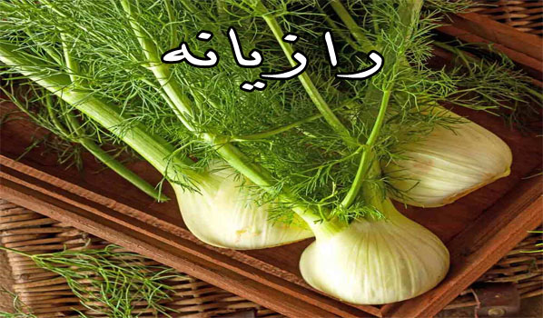 عرق رازیانه