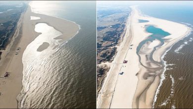 جزر و مد چیست؟ - علت انجام این پدیده و مزایای آن