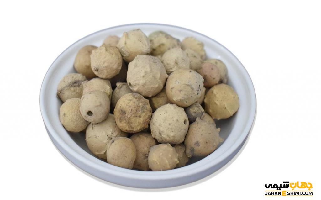 روغن مازو چیست ؟ خواص و فواید درمانی آن را می شناسید ؟