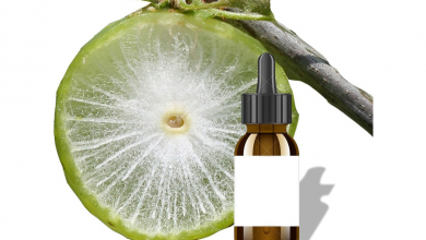 روغن مازو چیست ؟ خواص و فواید درمانی آن را می شناسید ؟