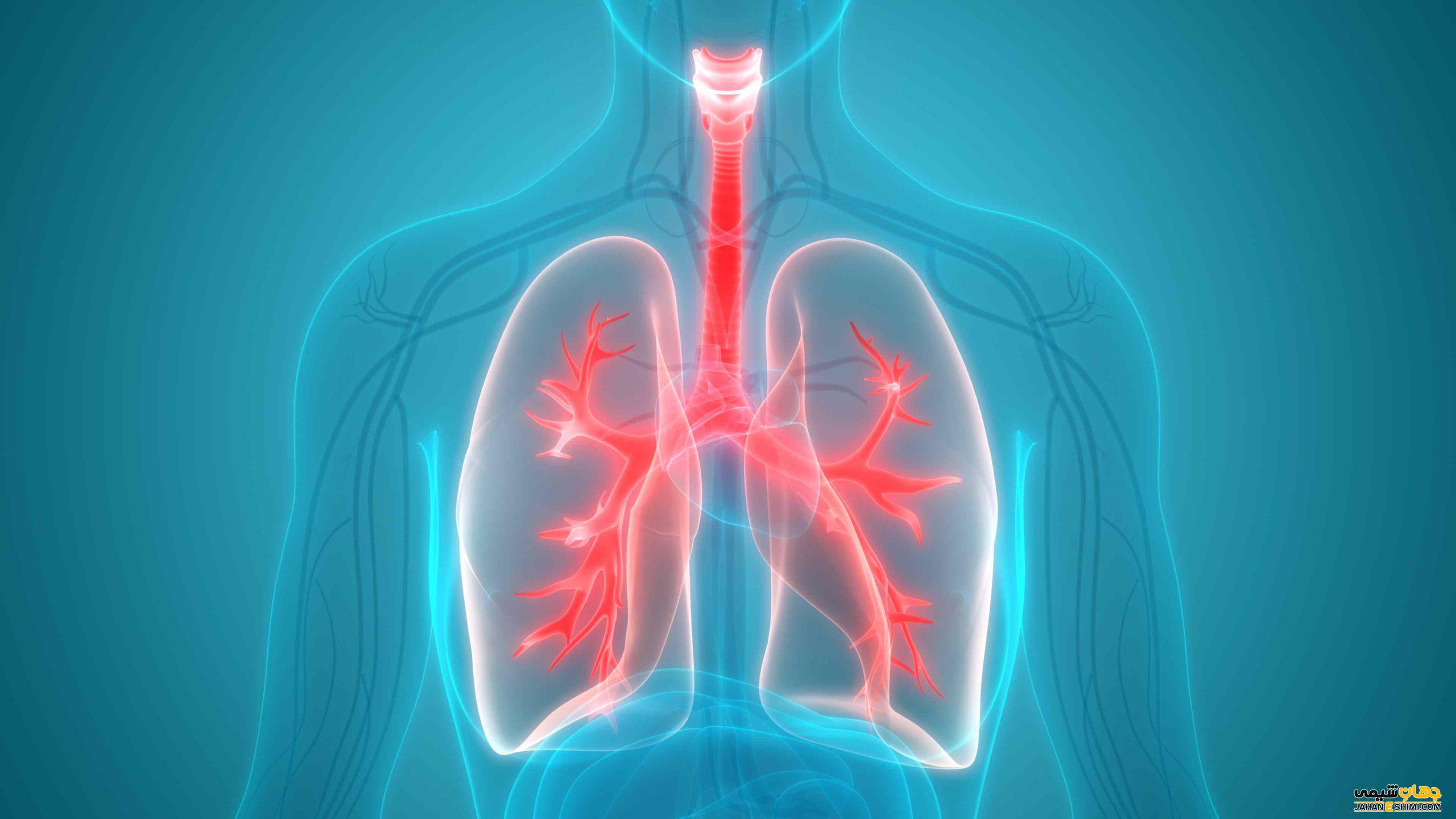 ساختار ، عملکرد و بیماری های دستگاه تنفس انسان