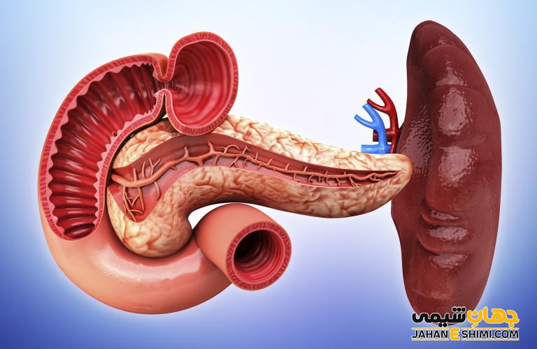 سرطان طحال چیست و چه علائم و عوارضی دارد؟