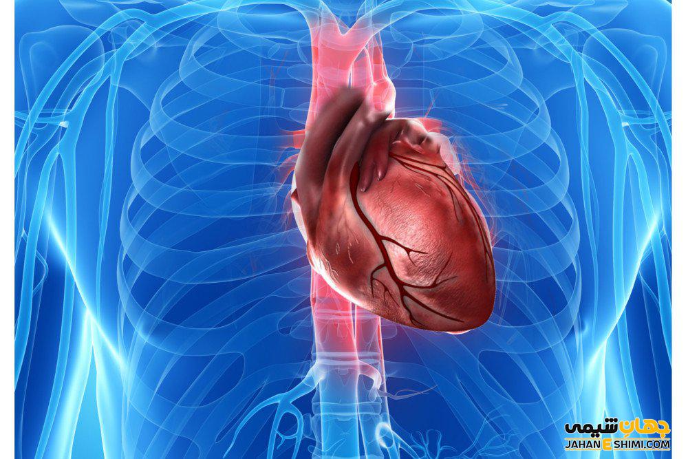 سرطان قلب چیست و آیا می توان از آن پیشگیری کرد؟