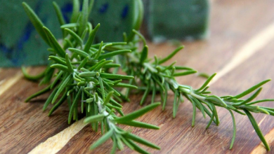 عرق مرزه چیست ؟ چه کاربرد دارویی و غذایی دارد؟