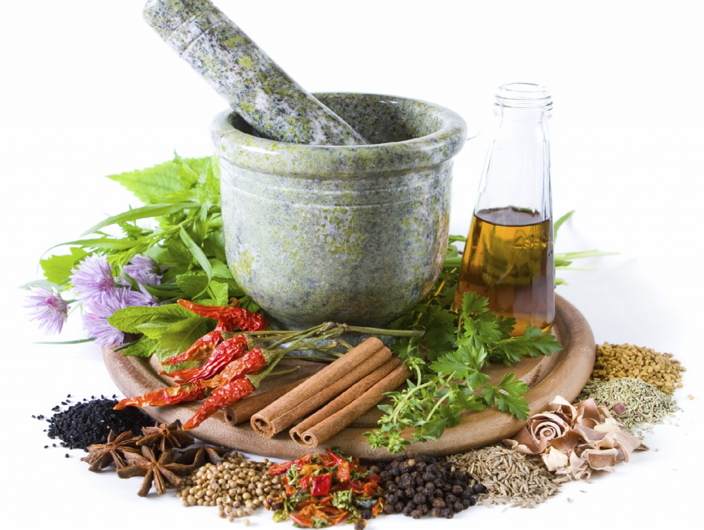 گیاه کاکوتی چیست و چه مصرف و کاربردی دارد ؟