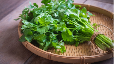 عرق گشنیز چیست و چه کاربردی در درمان دارد ؟