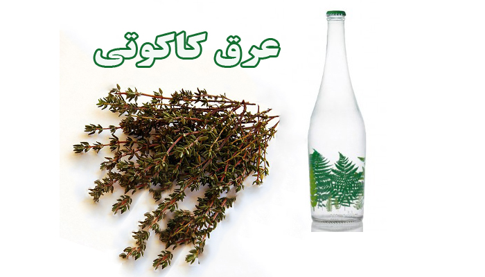 عرق کاکوتی