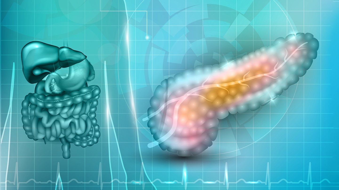 پانکراس چیست و از عملکرد و بیماری های آن چه می دانید؟