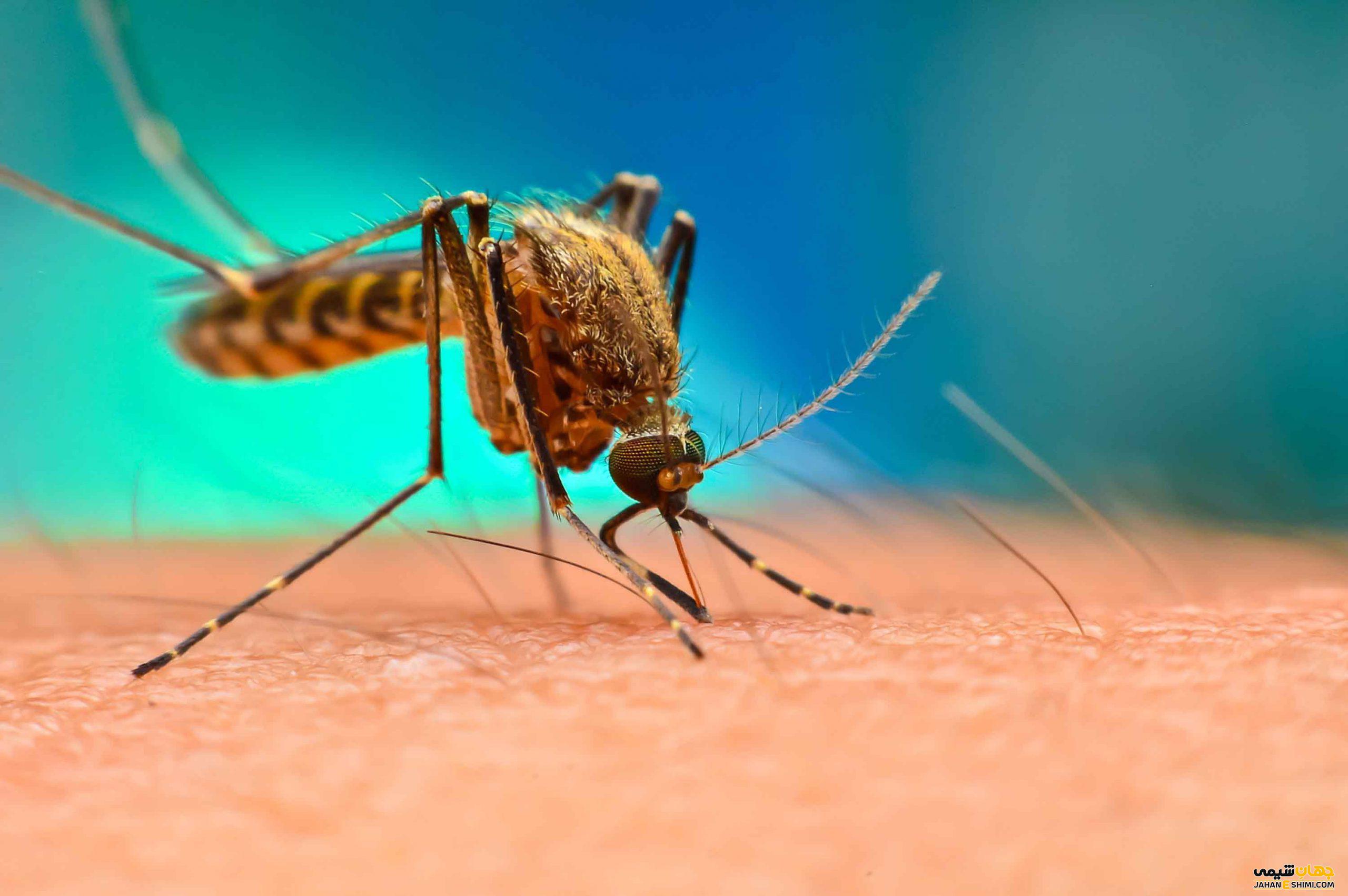 تشخیص بیماری مالاریا