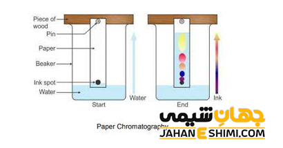 مراحل کروماتوگرافی کاغذی