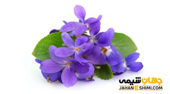 روغن بنفشه