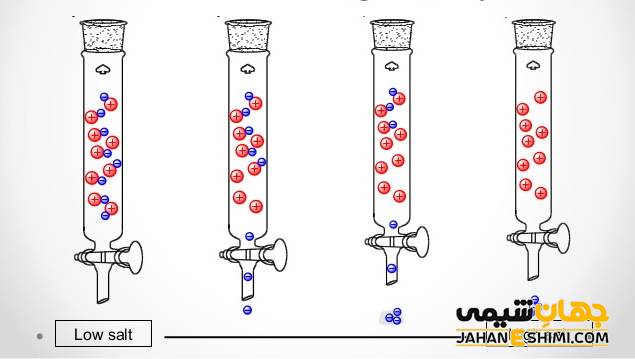 اساس کروماتوگرافی تبادل یونی