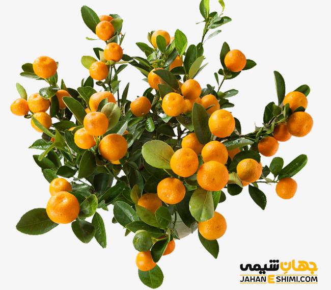 روغن پرتقال