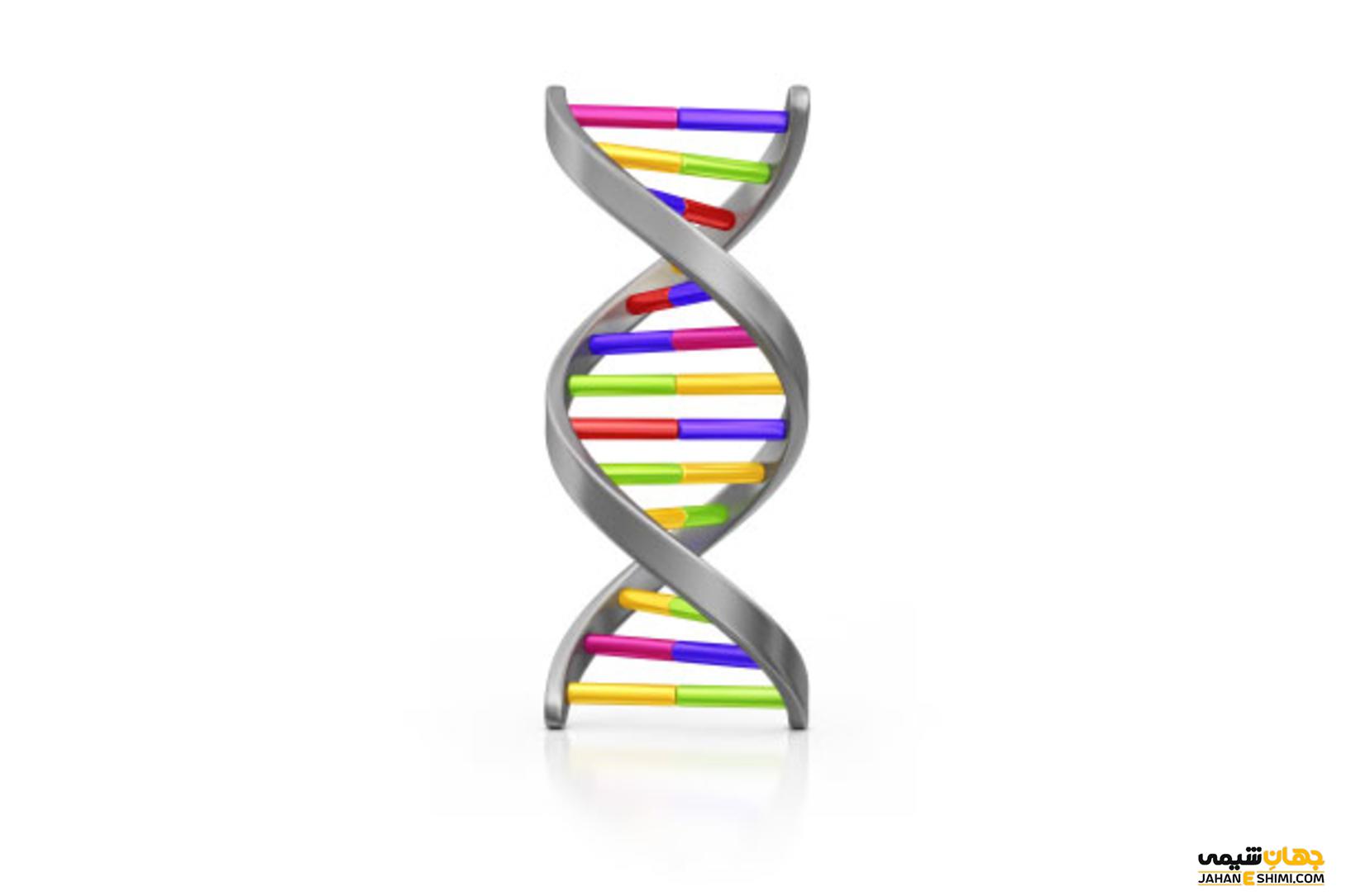 DNA چیست؟