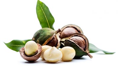 روغن ماکادمیا