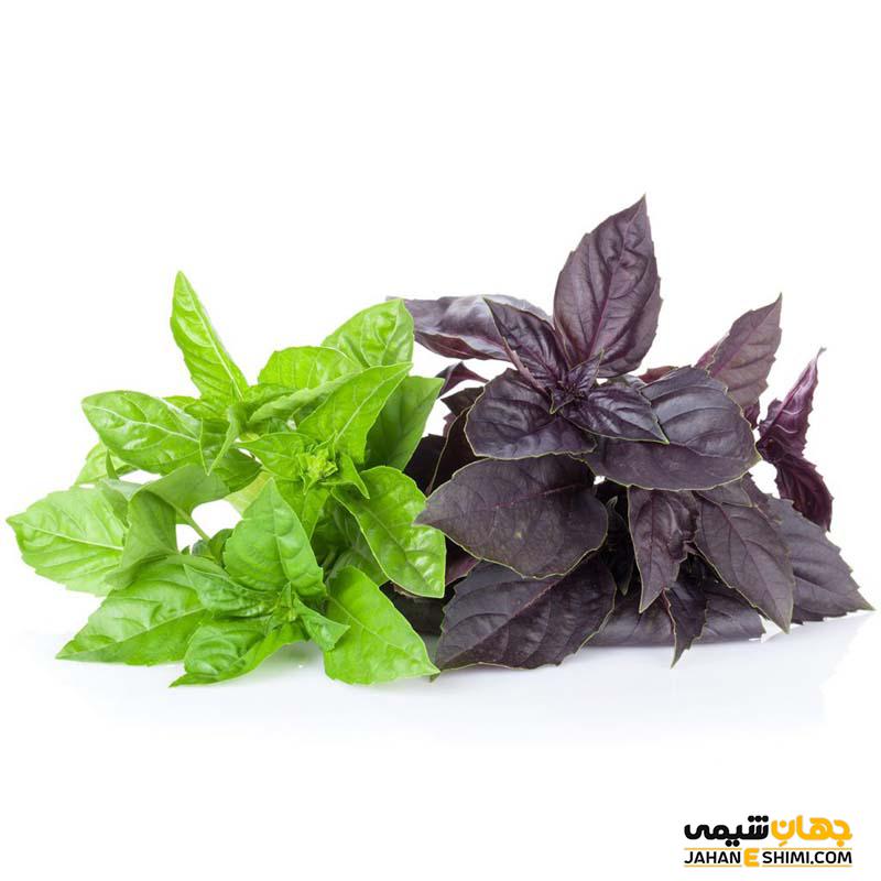 روغن ریحان