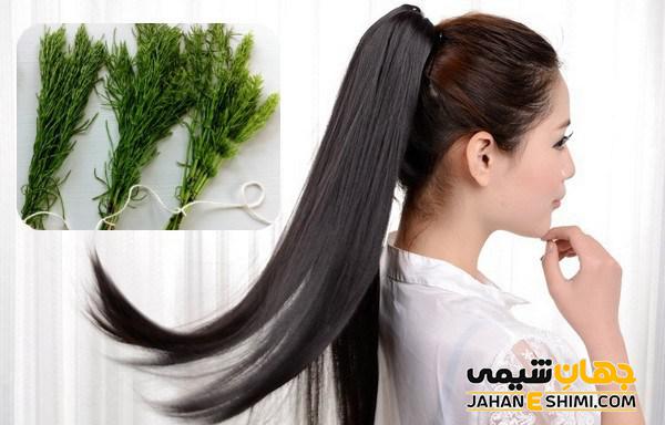 روغن گیاهی دم اسب