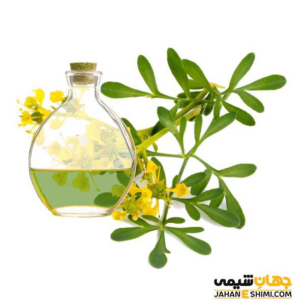 روغن سداب