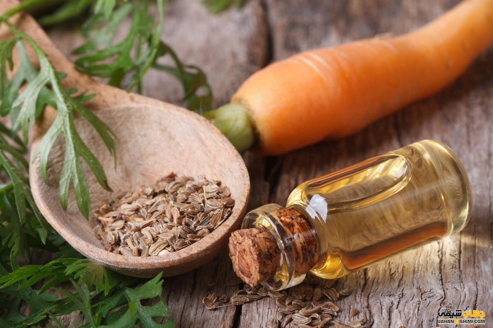 اثرات و خواص باور نکردنی روغن بذر هویج
