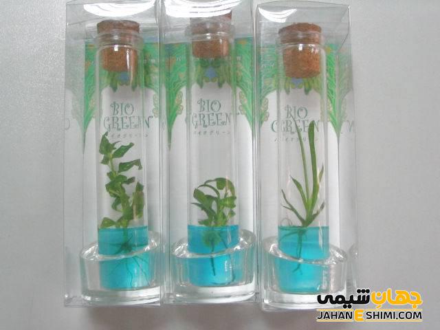 اثرات و عملکردهای هورمون گیاهی جیبرلین