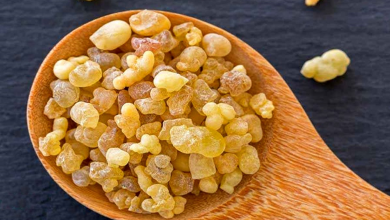 از خواص روغن سقز و کاربرد های فراوان آن چه می دانیم ؟