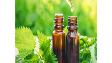 از خواص روغن گزنه و کاربرد های فراوان آن چه می دانیم ؟