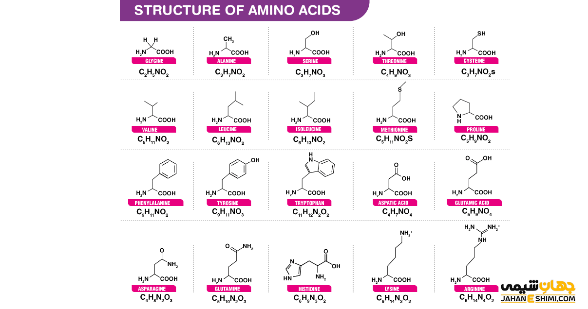 انواع اسیدهای آمینه بر اساس ساختمان آن ها