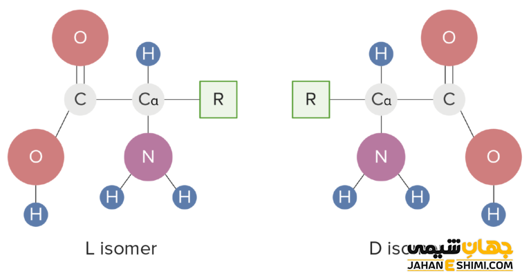 ایزومری در اسیدهای آمینه