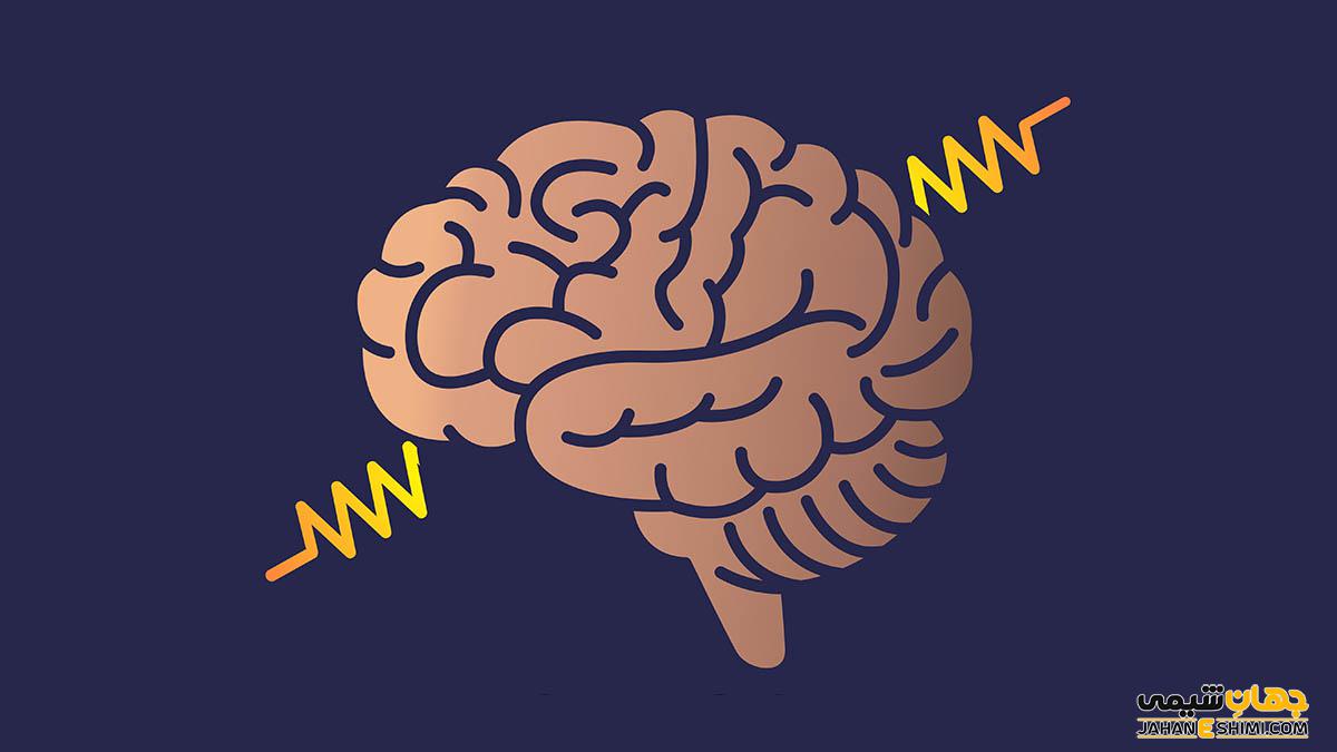 تشنج چیست و چرا دچار تشنج می شویم؟