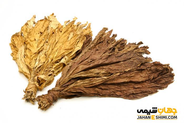 تنباکو چیست و اثرات منفی آن برای سلامتی چه می دانید؟
