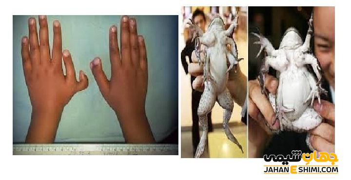 جهش مضر