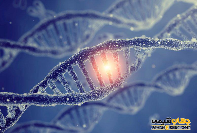 جهش ژنتیکی چیست؟ - و چند نوع دارد؟