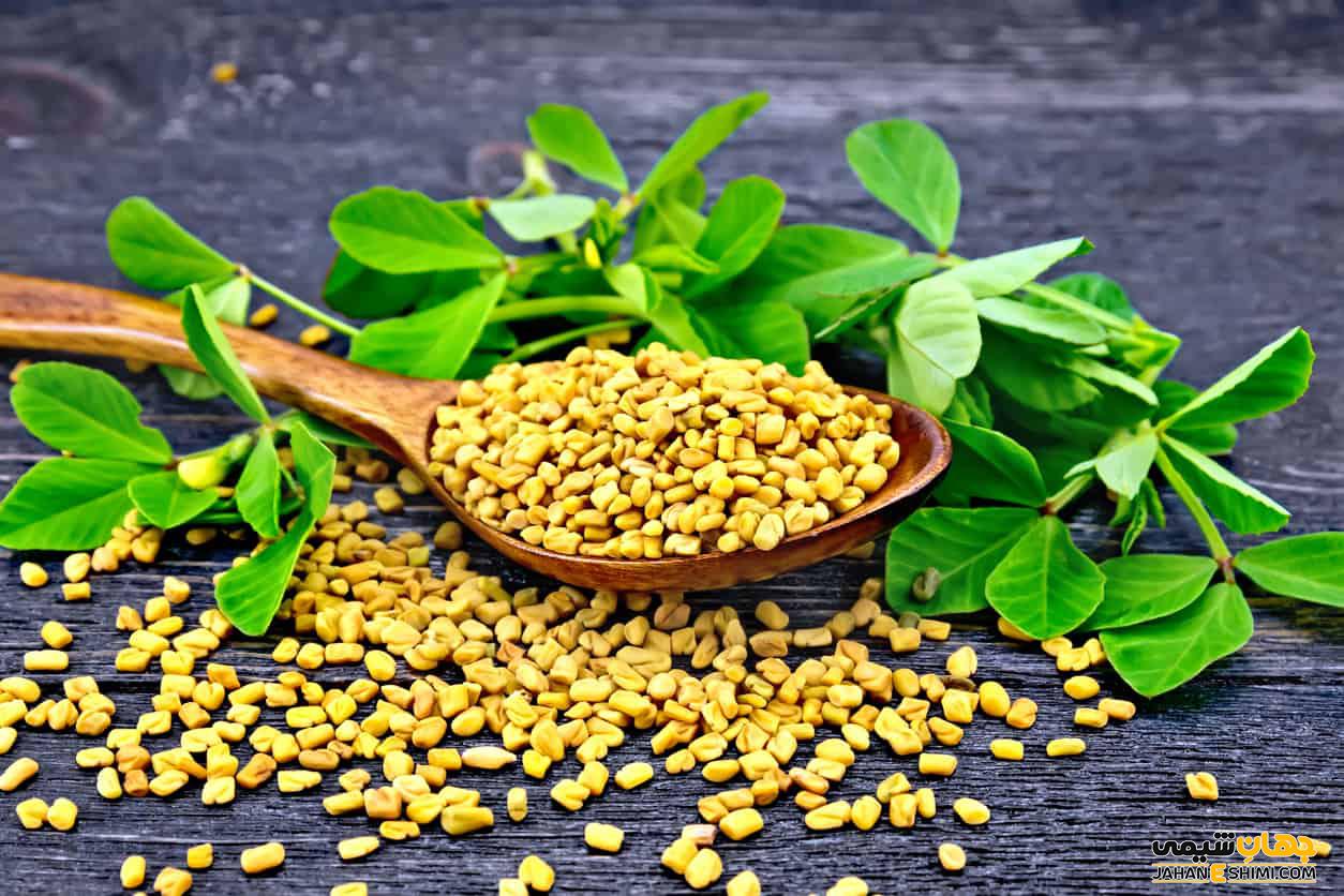 خواص درمانی فوق العاده تخم شنبلیله برای سلامتی