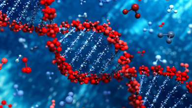 رشته دانشگاهی زیست شناسی سلولی و مولکولی و معرفی آن