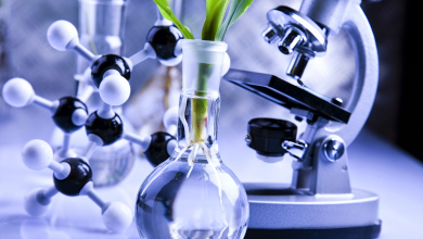 رشته دانشگاهی زیست ‌فناوری چیست ؟ آینده شغلی و درآمد آن