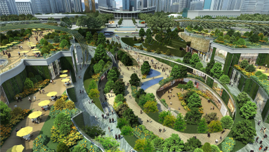 رشته دانشگاهی مهندسی فضای سبز چیست ؟ بازار کار و درآمد آن