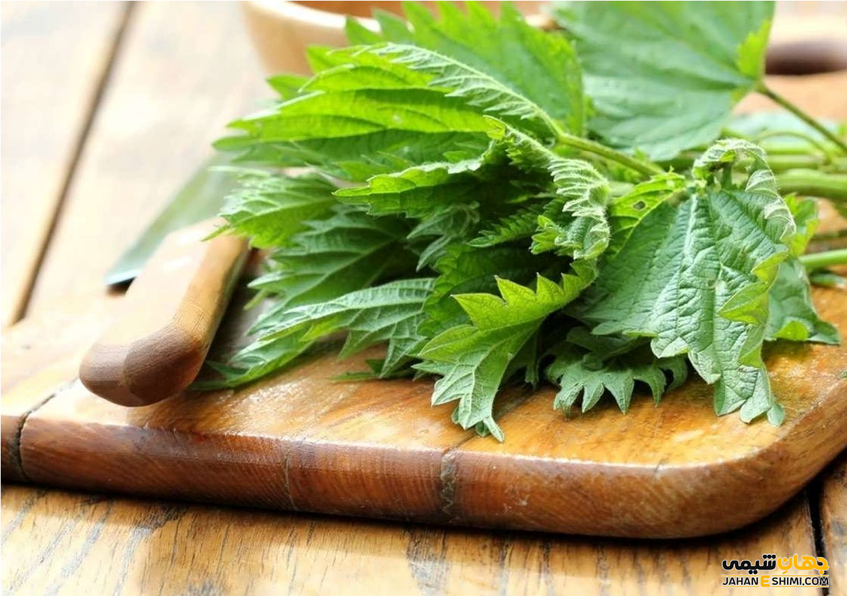 روغن گزنه