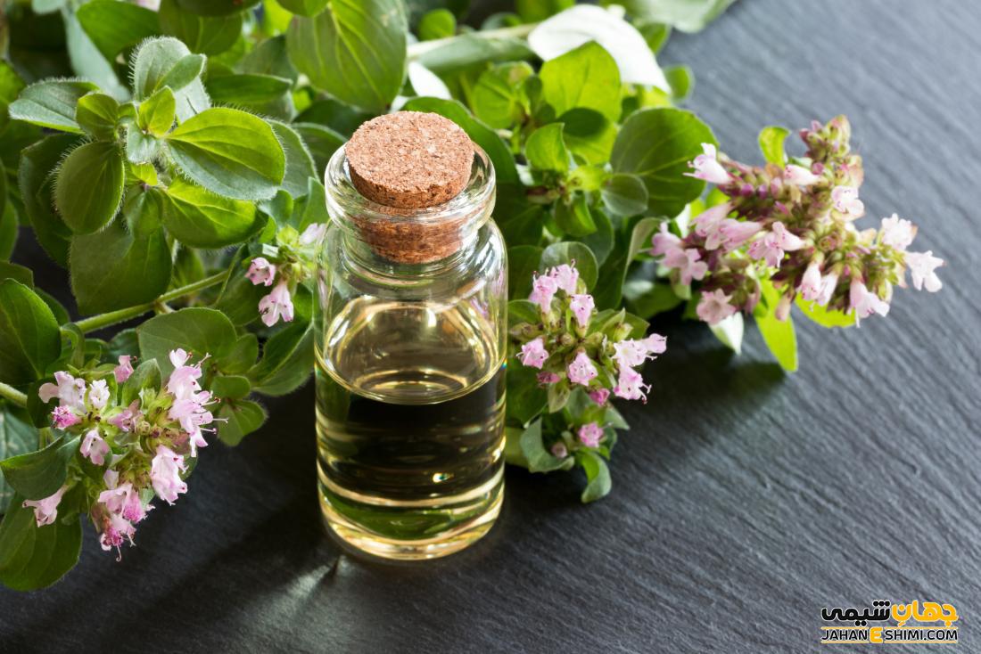 روش تهیه روغن مرزنجوش