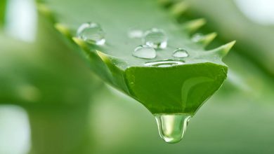 روغن آلوئه ورا