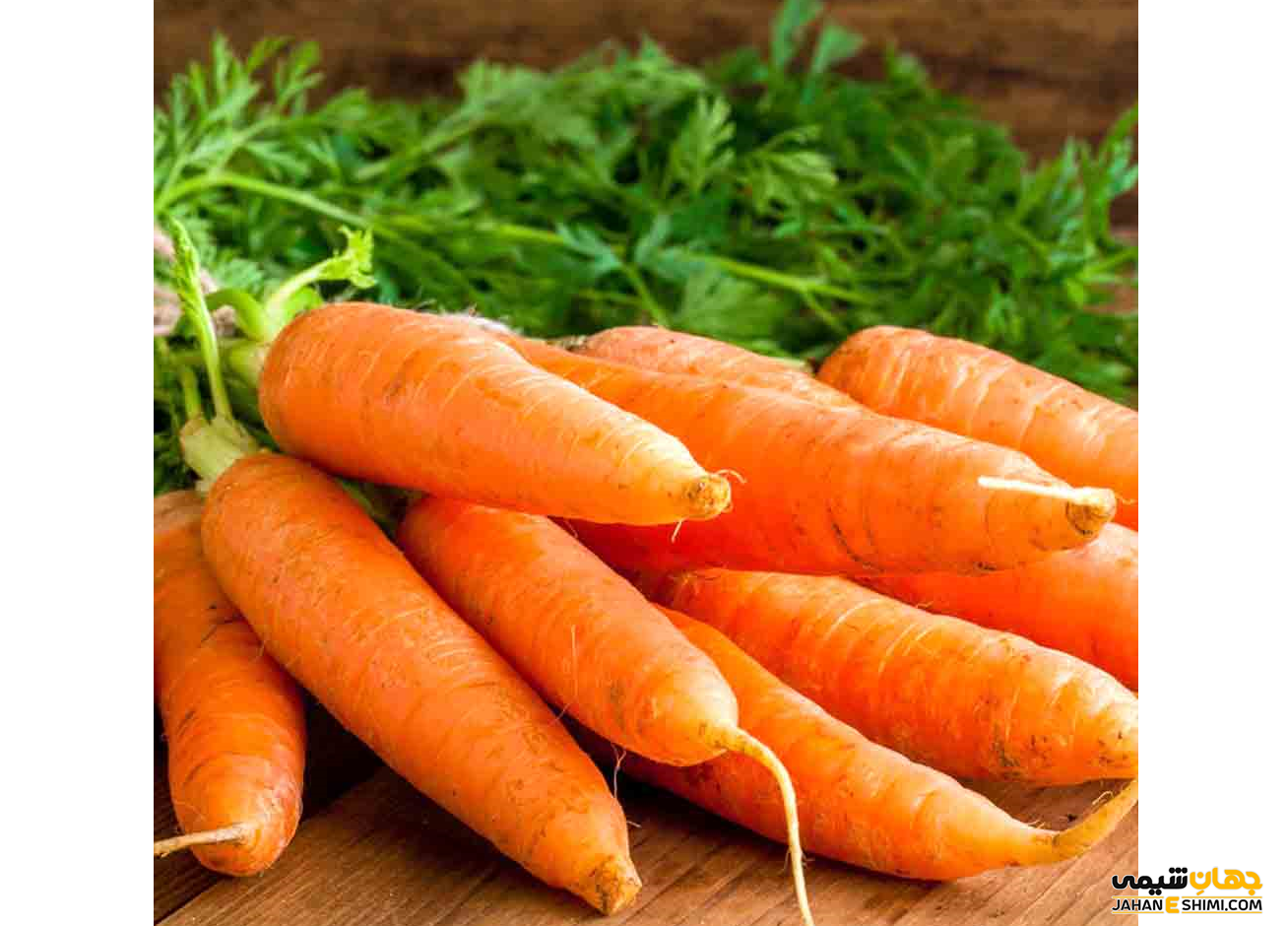 روغن بذر هویج چه عوارض جانبی دارد ؟