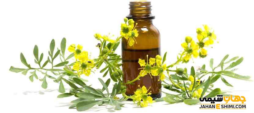 روغن سداب