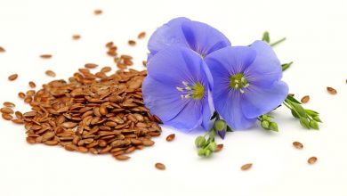 روغن کتان و خواص دارویی شگفت آور آن