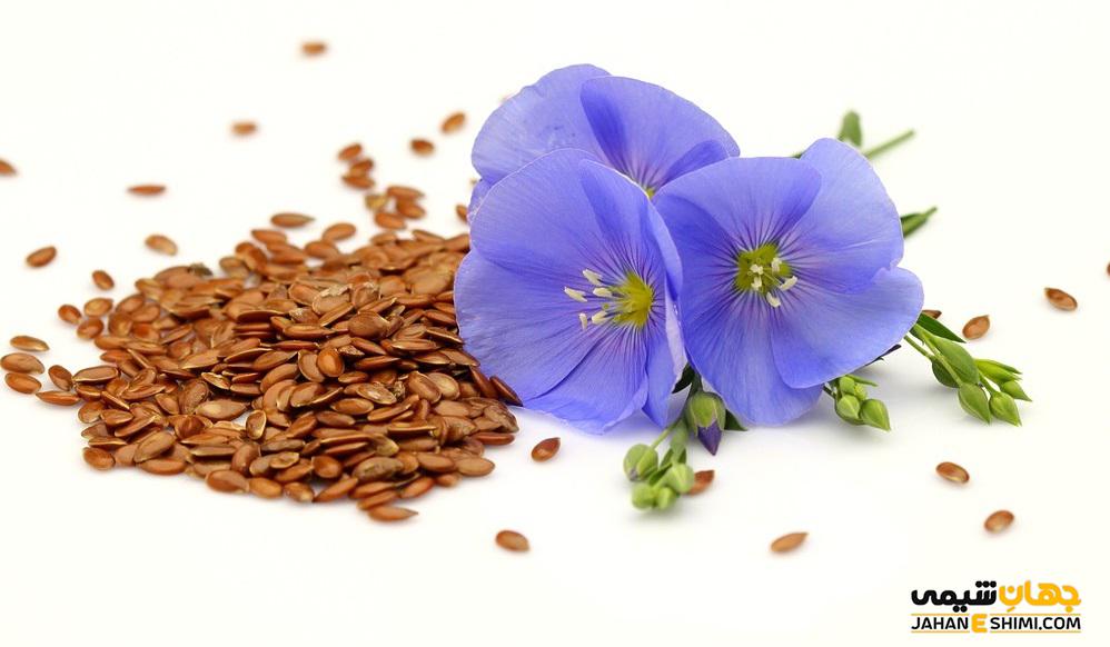 روغن کتان و خواص دارویی شگفت آور آن
