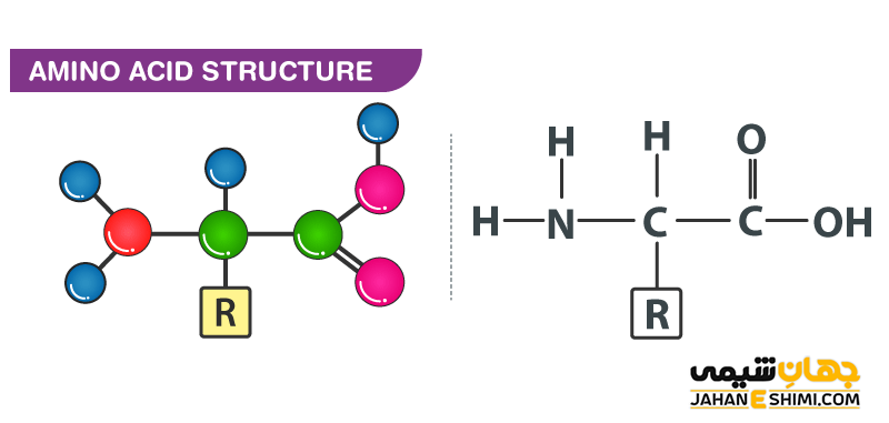 ساختار اسید آمینه