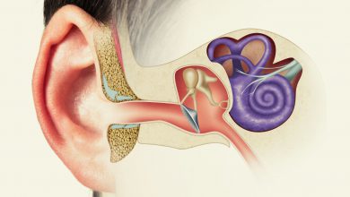 ساختار گوش انسان و بیماری هایی که شنوایی را مختل می کنند